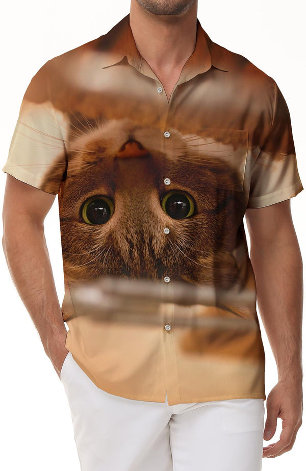 Cat Print Men's Short Sleeve Hawaiian Shirt Casual Button-Up Vacation Beach Party Shirt with Funky Animal Print