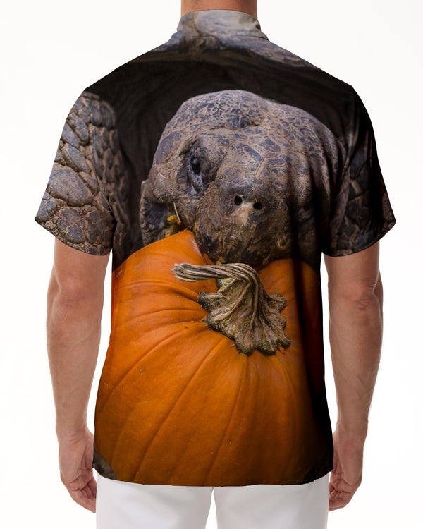 
Printed men's short-sleeved shirt Hawaiian clothing giant thousand-year-old turtle Hawaiian shirt top
                