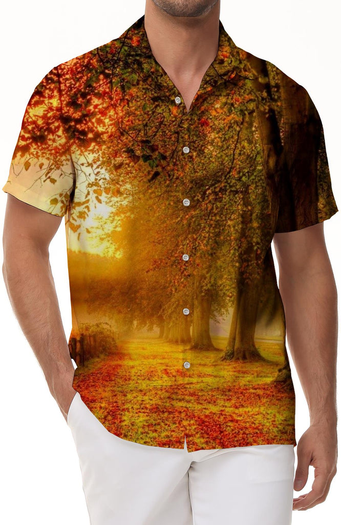 Four Seasons Fallen Leaves Hawaiian Button Lapel Short Sleeve Men's Daily Simple Style Casual Travel Top