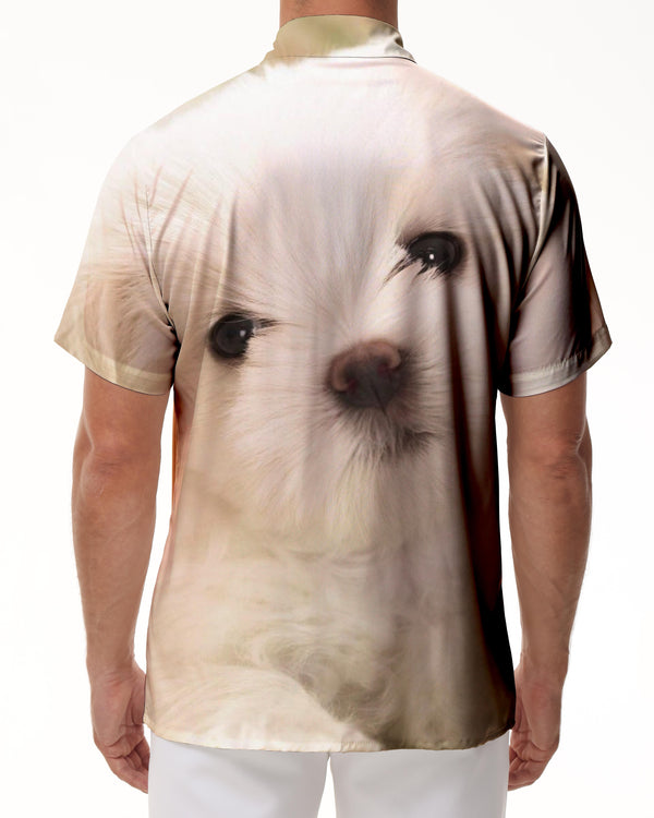 
Maltese Dog Cute Button Men Casual Loose Tropical Hawaiian Button Lapel Vacation Beach Short Sleeve Shirt
                