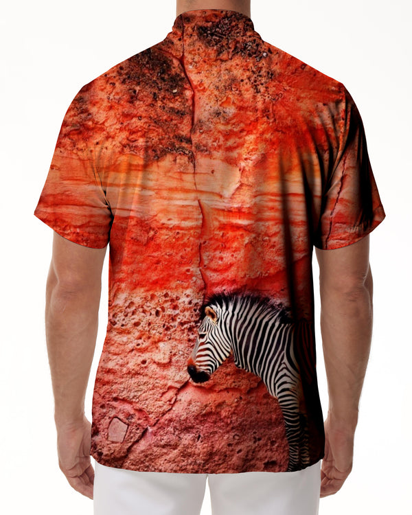 
Animal Zebra 3D Printed Streetwear Men Fashion Cool Lapel Stonewall Four Seasons Tops
                
