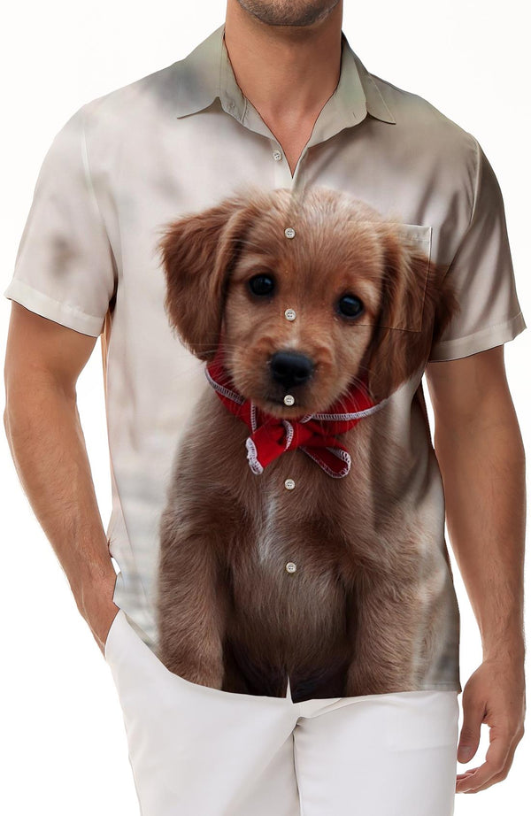 
Hot sale Golden Retriever 3D printed short sleeves fashionable cute dog healing fun casual short sleeve tops
                