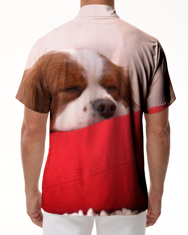 
3D printed animal pattern street fashion funny lapel summer leisure loose fashion cute pet dog short-sleeved shirt men's
                