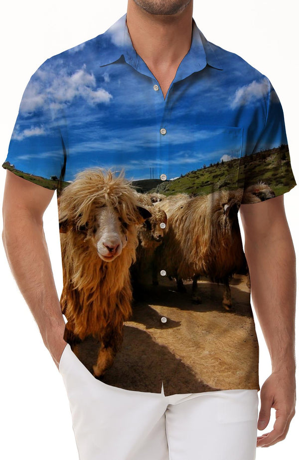 Plateau Herd Sheep Band Short Sleeve Shirt Men's Button Fun Street Short Sleeve Hawaiian Button Lapel Fashion Print