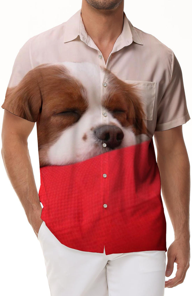 3D printed animal pattern street fashion funny lapel summer leisure loose fashion cute pet dog short-sleeved shirt men's