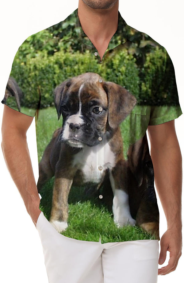 Sanfutian Boxer Dog Men's 3D Print Casual Button Down Shirts Novelty Hawaii Short Sleeve