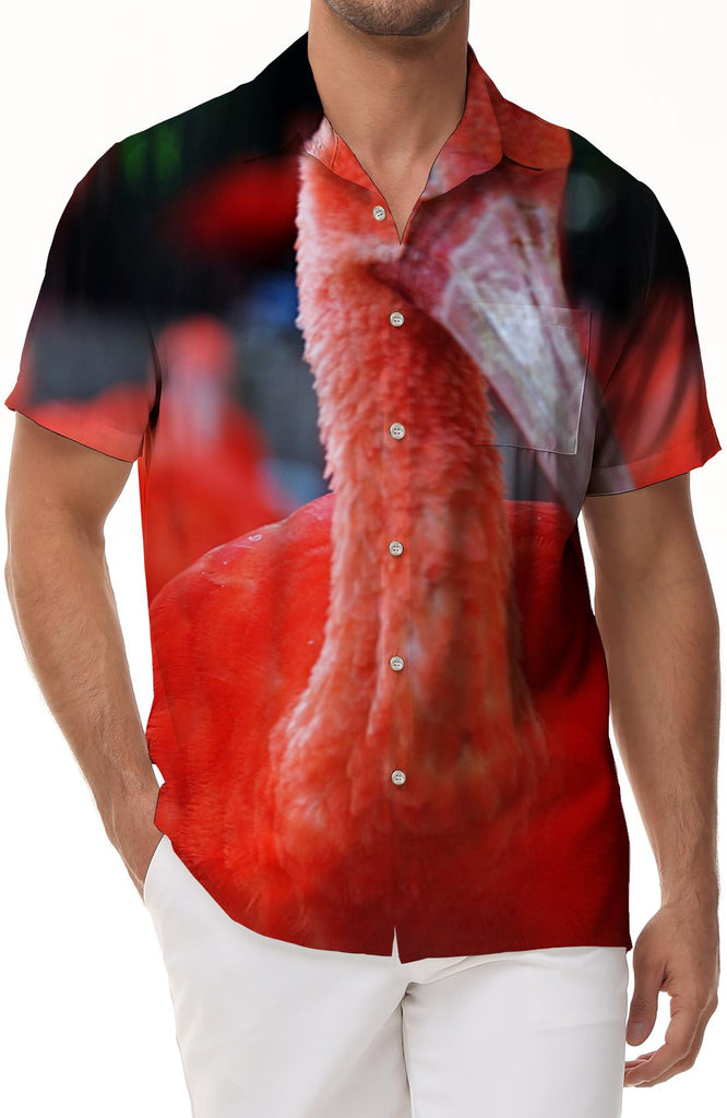 Water flamingo print pattern button men's short-sleeved shirt Hawaiian tropical four seasons beach short-sleeved shirt fun