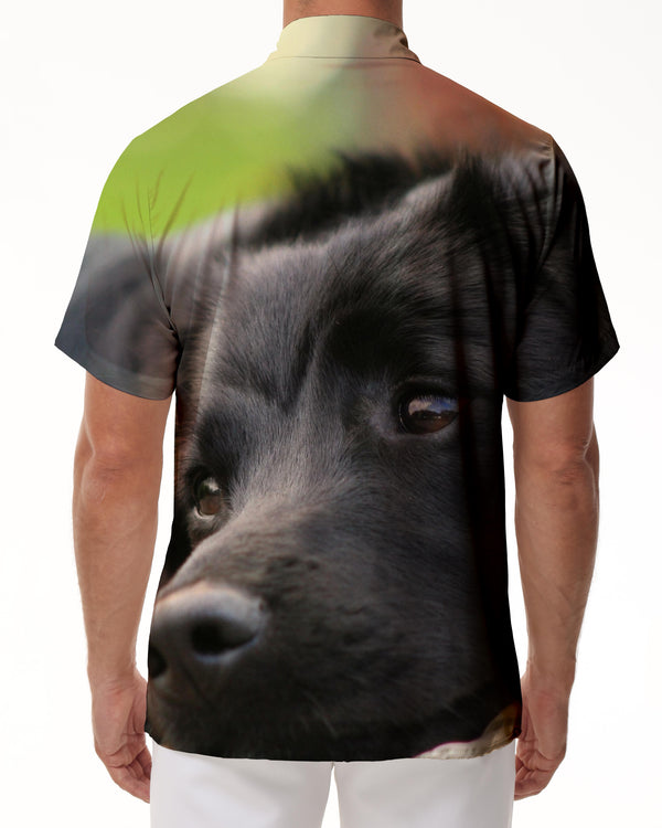 
Cute black Labrador retriever men's summer casual loose vacation seaside beach short-sleeved Hawaiian tropical lapel short-sleeved shirt button-down
                