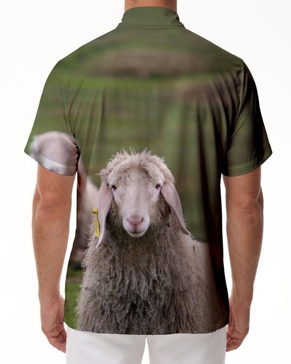 
Skinny Sheep Trend Comfortable Breathable Short Sleeve Button Hawaiian Shirt Summer Leisure Beach Lined Short Sleeve
                