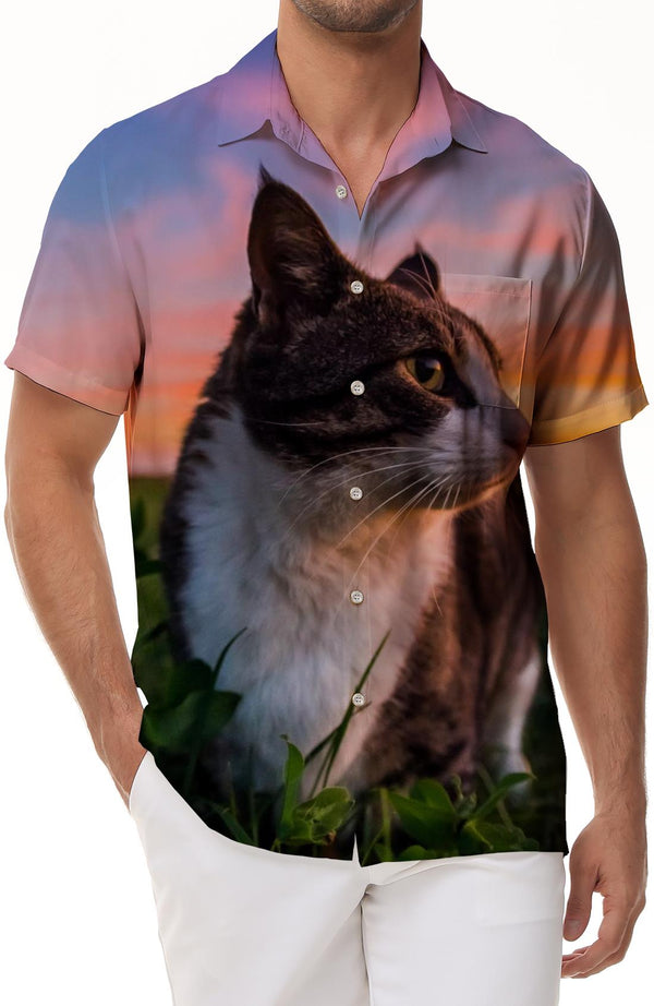 Cute cat and sunset pattern men's Cuban collar short sleeve shirt suitable for vacation beach