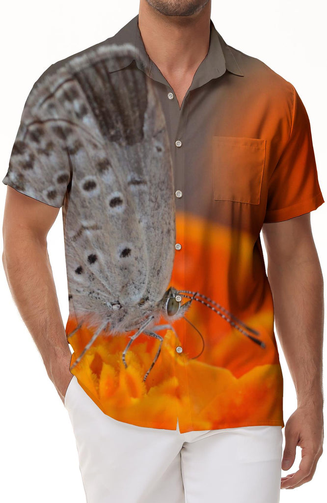 Orange Grey Butterfly Print Shirt Men's Hawaiian Shirt 3D Printing Comfortable Micro-Stretch Breathable Button Lapel