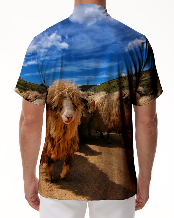 
Plateau Herd Sheep Band Short Sleeve Shirt Men's Button Fun Street Short Sleeve Hawaiian Button Lapel Fashion Print
                