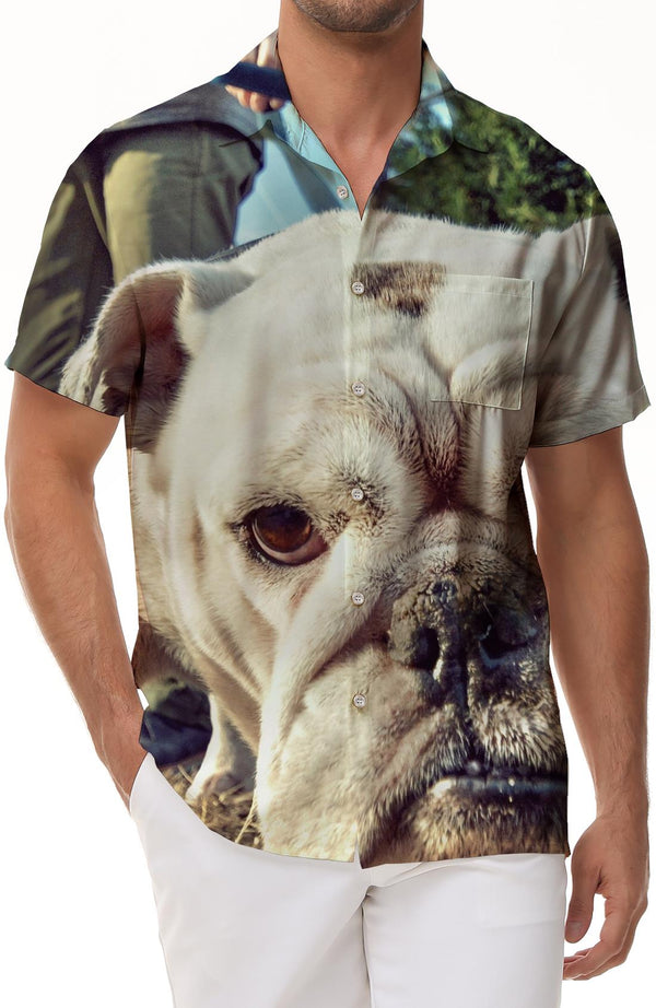 Bulldog French Men's Vintage Collar Shirt Casual Button Shirt Short Sleeve Vacation Beach