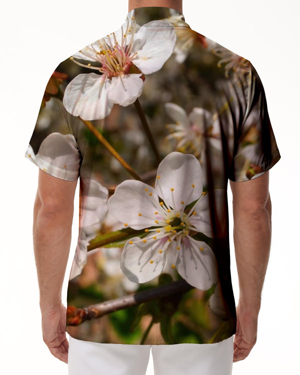 
Men's Hawaiian Shirt Sakura Short Sleeve Button Summer Beach Shirt Daily Street Casual Loose Clothes
                