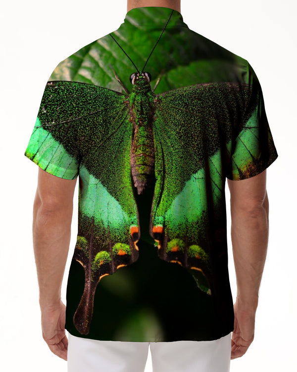 
Beautiful Green Butterfly Men's Casual Short Sleeve Loose Style Short Sleeve Shirt Hawaiian Rainforest Short Sleeve Shirt Green
                