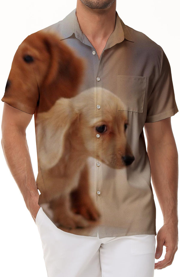Puppy Golden Retriever Pattern Summer Tropical Hawaiian Button Fashion Selection Men's Casual Loose Short Sleeve Shirt