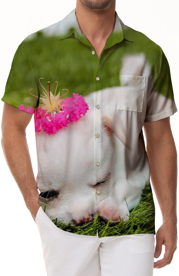 White Chihuahua Face Fashion Trendy Simple Cute Animal Short Sleeve Shirt Men's Summer Casual Hawaiian Button Lapel Shirt