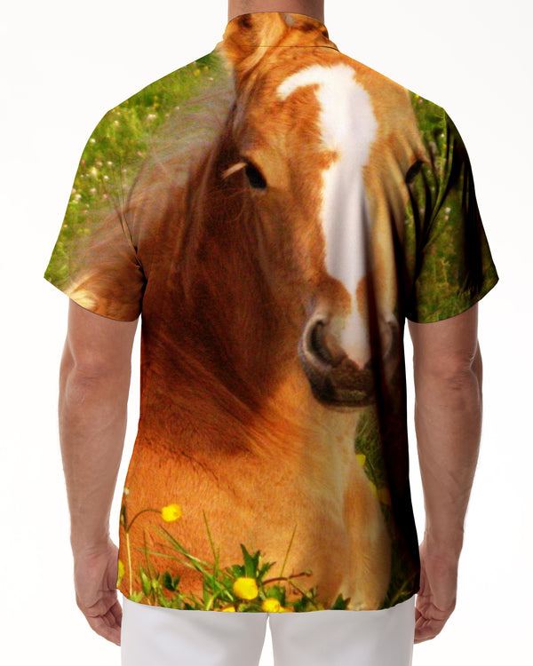 
Diggital Print Animal Horse Graphic Shirts For Men Short Sleeves Casual Loose Beach Hawaiian Shirt Blouses Mens Oversized Tops
                