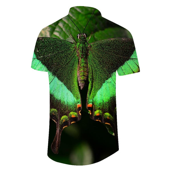 
Beautiful Green Butterfly Men's Casual Short Sleeve Loose Style Short Sleeve Shirt Hawaiian Rainforest Short Sleeve Shirt Green
                
