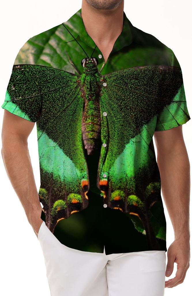 Beautiful Green Butterfly Men's Casual Short Sleeve Loose Style Short Sleeve Shirt Hawaiian Rainforest Short Sleeve Shirt Green