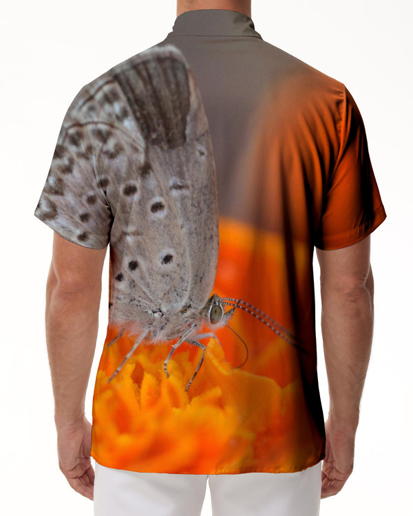 
Orange Grey Butterfly Print Shirt Men's Hawaiian Shirt 3D Printing Comfortable Micro-Stretch Breathable Button Lapel
                