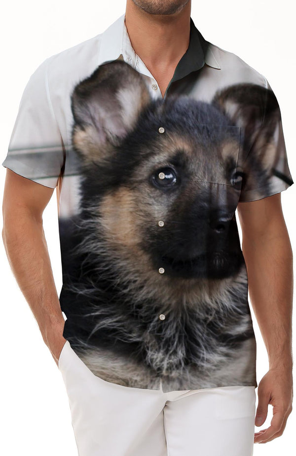Shepherd Dog 3D Digital Printed Pattern Men's Button Lapel Hawaiian Shirt Short Sleeves Vacation and Casual Tops Short Sleeves