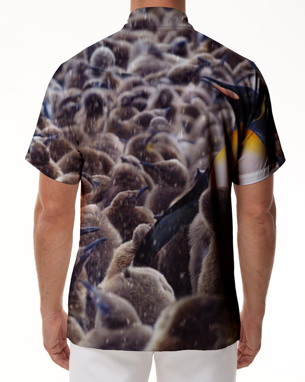 
A Group of Penguins Birds Vacation Beach Summer Men's Tops with Pockets Short Sleeve Loose Casual Shirt
                