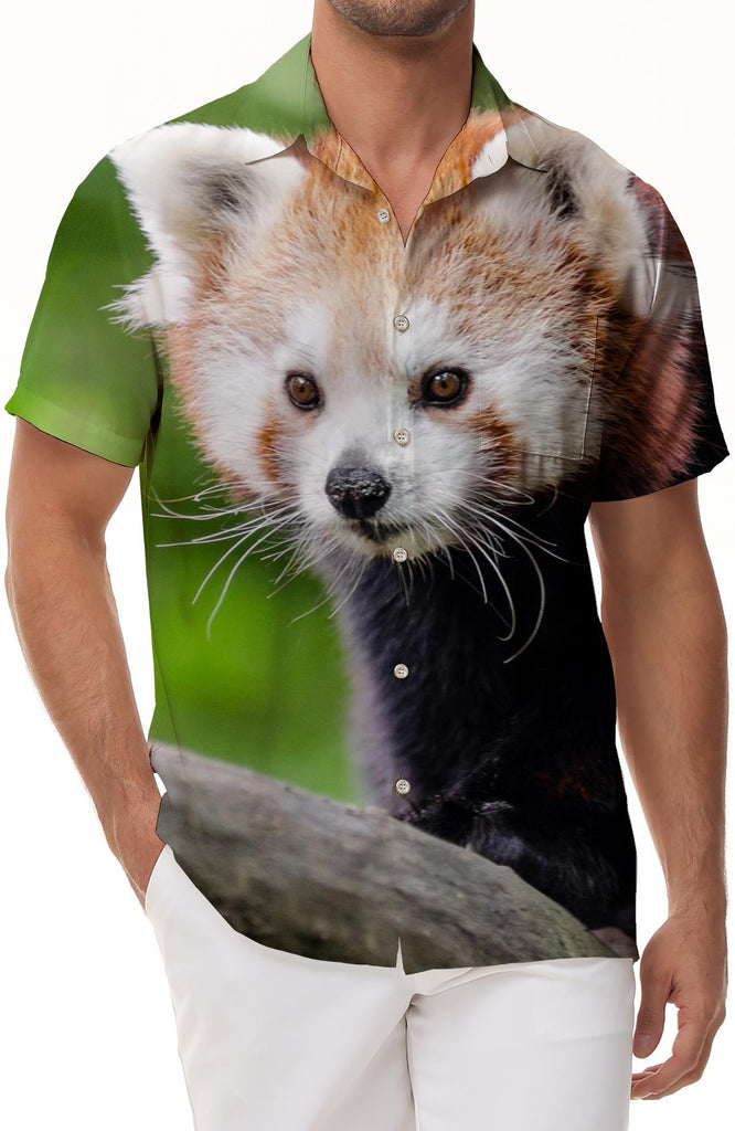 Red Panda Men's Short Sleeve Shirt Lapel Button Top Short Sleeve Shirt Hawaiian Loose