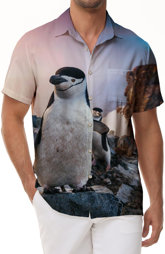 Penguin skiing four seasons outdoor fishing men's short-sleeved shirt casual short-sleeved shirt button shirt suitable for summer seaside beach tops