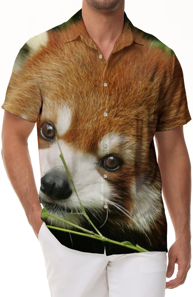 Cute Men's Short Sleeve Shirt Digital Printed Red Panda Hawaiian Loose Lapel Button Fashion Style