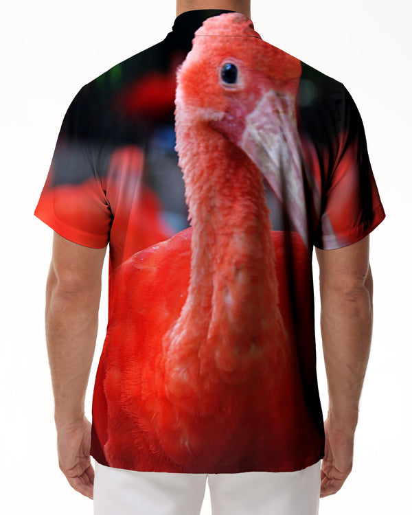 
Water flamingo print pattern button men's short-sleeved shirt Hawaiian tropical four seasons beach short-sleeved shirt fun
                