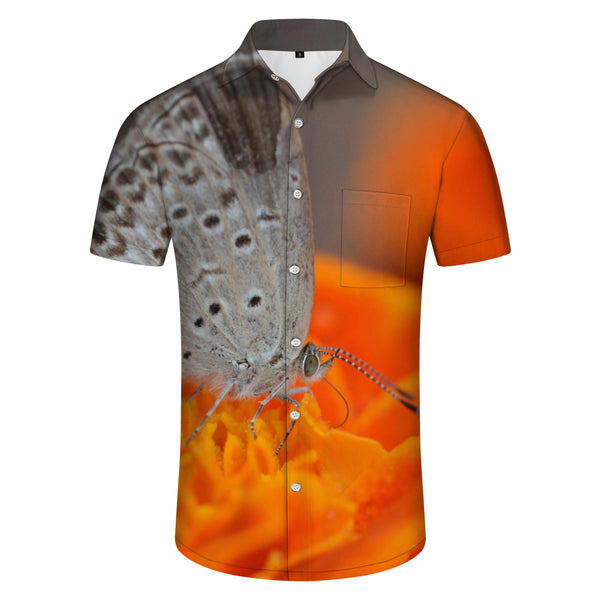 
Orange Grey Butterfly Print Shirt Men's Hawaiian Shirt 3D Printing Comfortable Micro-Stretch Breathable Button Lapel
                