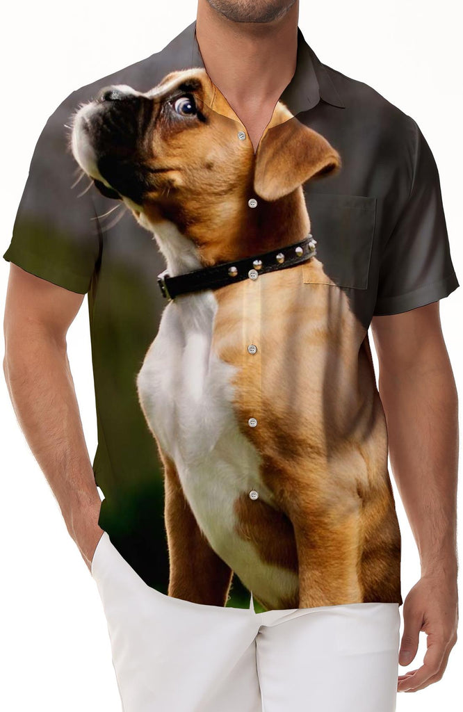 New Summer Fashion Cute Pet Dog Men's Printed Casual Short Sleeve Street Animal Lapel Button-Down Top
