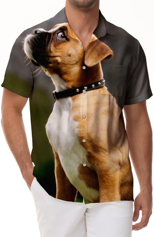New Summer Fashion Cute Pet Dog Men's Printed Casual Short Sleeve Street Animal Lapel Button-Down Top