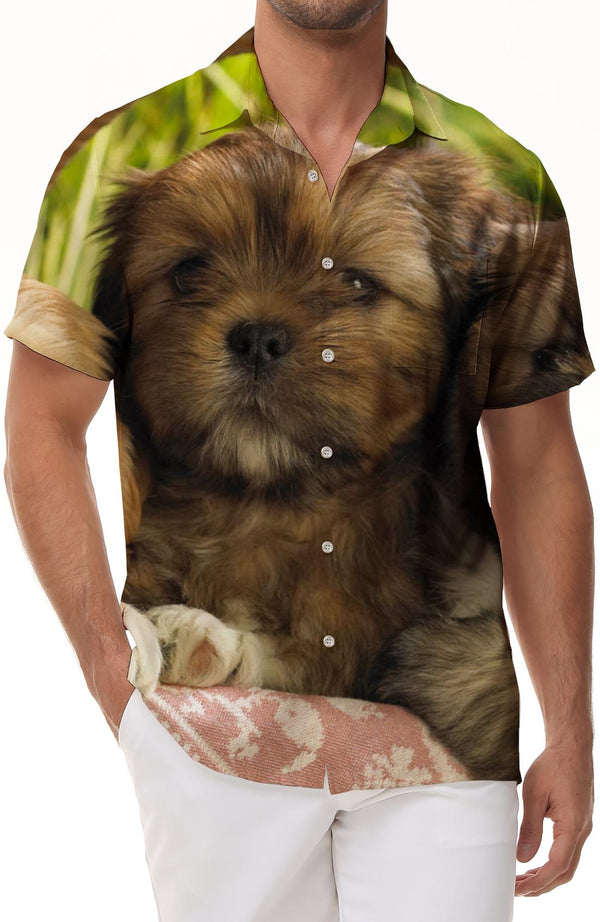 Brown Shih Tzu Puppy Mens Casual Loose Tropical Vacation Beach Button Lapel Hawaiian Short Sleeve Shirt