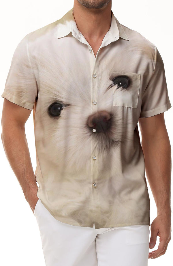 
Maltese Dog Cute Button Men Casual Loose Tropical Hawaiian Button Lapel Vacation Beach Short Sleeve Shirt
                