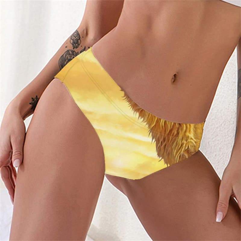 Lion Briefs Women Animal Knickers Anime Underwear Nebula Pantys Harajuku Lingerie Female - KYKU